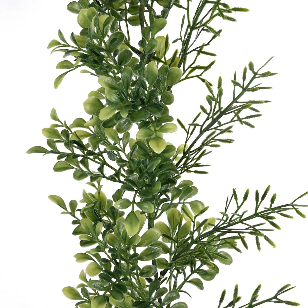 Boxwood Garland