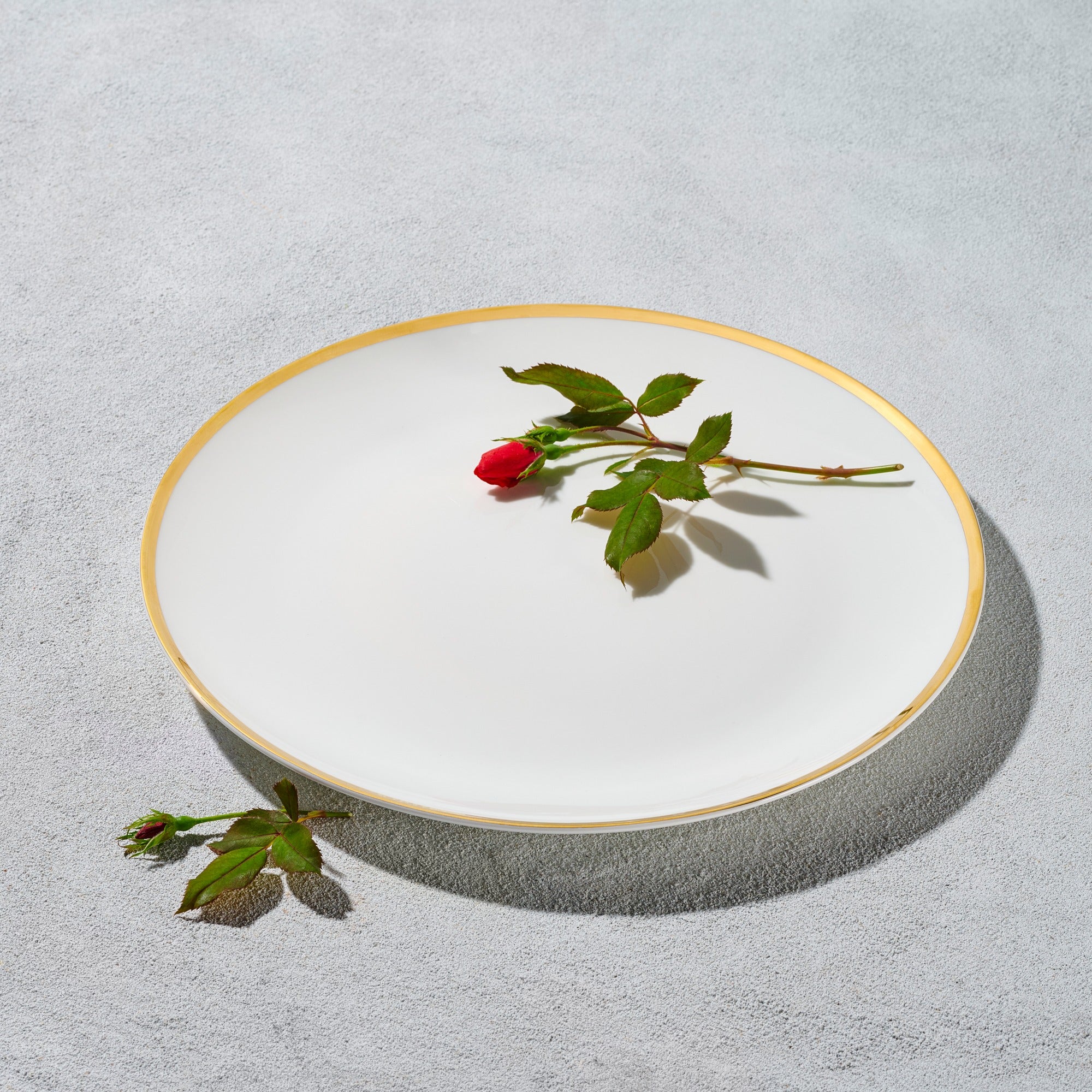 Vikko - Bliss Vintage Charger Plate White with Gold Rim Set of Six