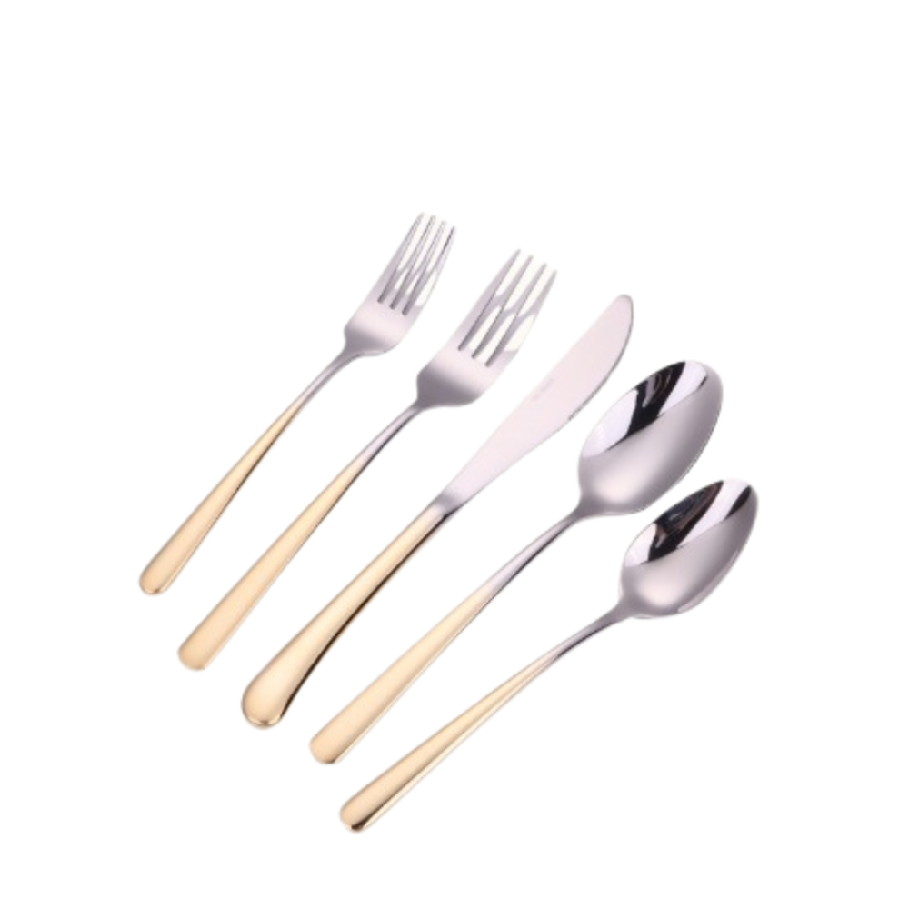 Colorblock Two Toned 20 Piece Flatware
