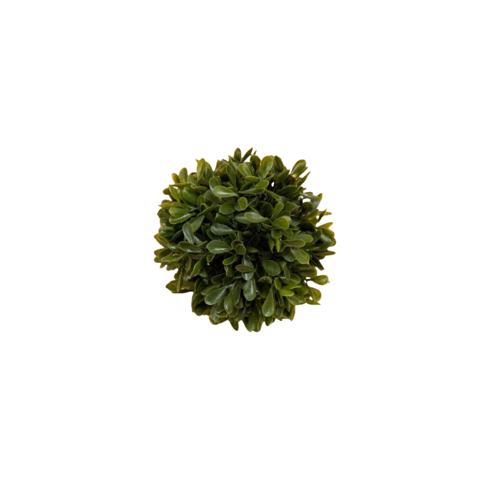 Small Boxwood Green Ball 6"