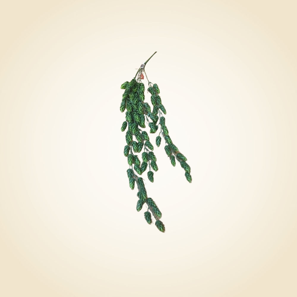 Hops Garlands